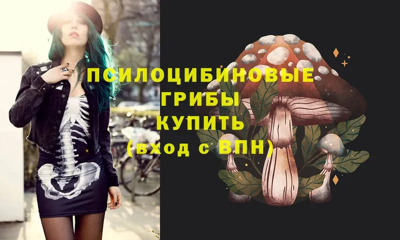 Псилоцибиновые грибы MAGIC MUSHROOMS  Нюрба 